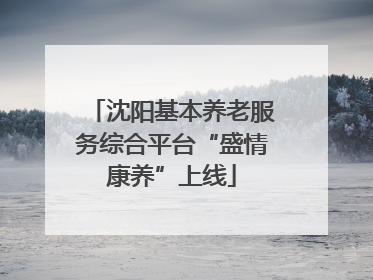 沈阳基本养老服务综合平台“盛情康养”上线