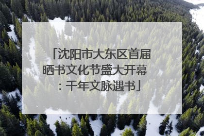 沈阳市大东区首届晒书文化节盛大开幕：千年文脉遇书