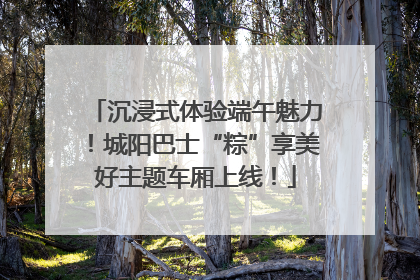沉浸式体验端午魅力！城阳巴士“粽”享美好主题车厢上线！