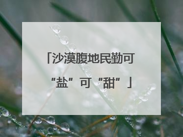 沙漠腹地民勤可“盐”可“甜”
