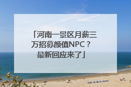 河南一景区月薪三万招募颜值NPC？最新回应来了