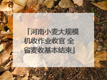 河南小麦大规模机收作业收官 全省麦收基本结束