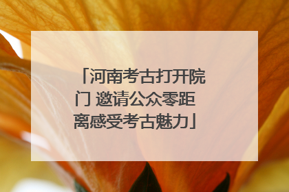 河南考古打开院门 邀请公众零距离感受考古魅力