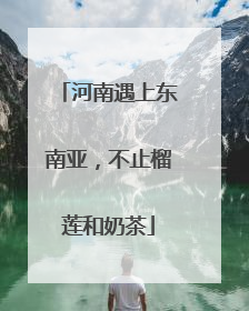 河南遇上东南亚，不止榴莲和奶茶