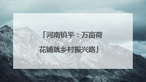 河南镇平：万亩荷花铺就乡村振兴路