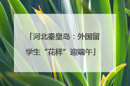 河北秦皇岛：外国留学生“花样”迎端午