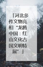 河北多件文物亮相“龙腾中国：红山文化古国文明特展”