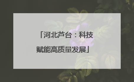 河北芦台：科技赋能高质量发展