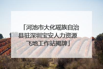 河池市大化瑶族自治县驻深圳宝安人力资源飞地工作站揭牌