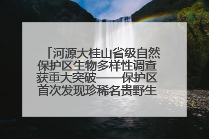 河源大桂山省级自然保护区生物多样性调查获重大突破——保护区首次发现珍稀名贵野生干巴菌与钝尾两头蛇
