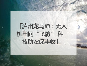 泸州龙马潭：无人机田间“飞防” 科技助农保丰收