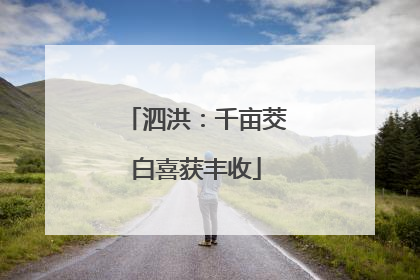 泗洪：千亩茭白喜获丰收