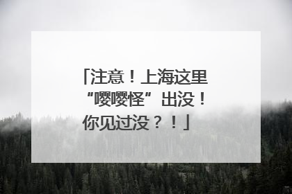 注意！上海这里“嘤嘤怪”出没！你见过没？！