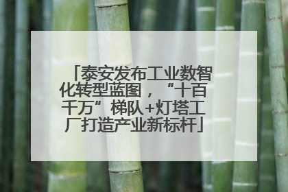 泰安发布工业数智化转型蓝图，“十百千万”梯队+灯塔工厂打造产业新标杆