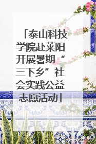 泰山科技学院赴莱阳开展暑期“三下乡”社会实践公益志愿活动