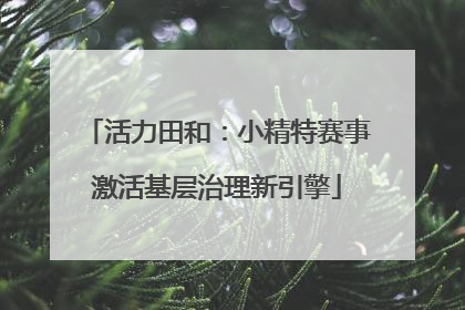 活力田和：小精特赛事激活基层治理新引擎