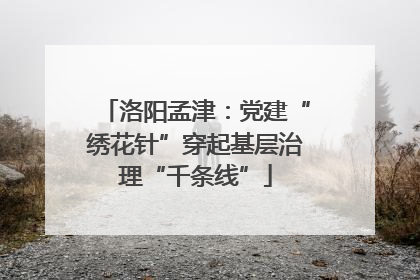 洛阳孟津：党建“绣花针”穿起基层治理“千条线”