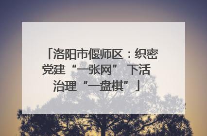 洛阳市偃师区：织密党建“一张网” 下活治理“一盘棋”