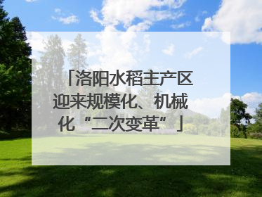 洛阳水稻主产区迎来规模化、机械化“二次变革”