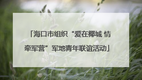 海口市组织“爱在椰城 情牵军营”军地青年联谊活动