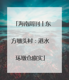 海南周刊丨东方墩头村：港水环墩仓廪实