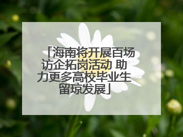 海南将开展百场访企拓岗活动 助力更多高校毕业生留琼发展