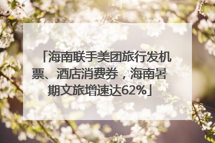 海南联手美团旅行发机票、酒店消费券，海南暑期文旅增速达62%
