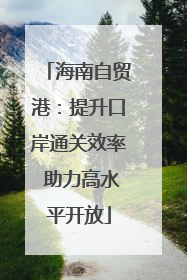 海南自贸港：提升口岸通关效率 助力高水平开放