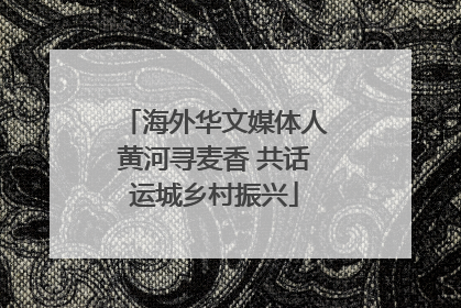 海外华文媒体人黄河寻麦香 共话运城乡村振兴