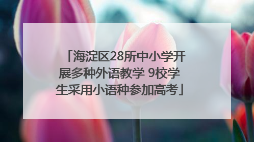 海淀区28所中小学开展多种外语教学 9校学生采用小语种参加高考