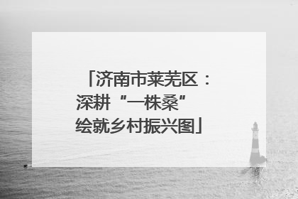 济南市莱芜区：深耕“一株桑” 绘就乡村振兴图