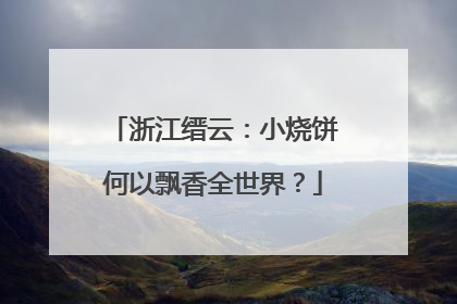 浙江缙云：小烧饼何以飘香全世界？