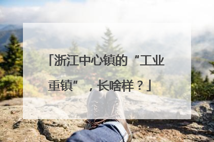浙江中心镇的“工业重镇”，长啥样？
