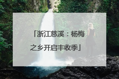 浙江慈溪：杨梅之乡开启丰收季