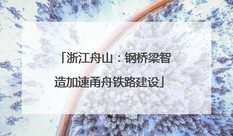 浙江舟山：钢桥梁智造加速甬舟铁路建设