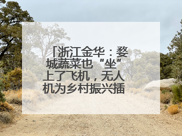浙江金华：婺城蔬菜也“坐”上了飞机，无人机为乡村振兴插上“翅膀”