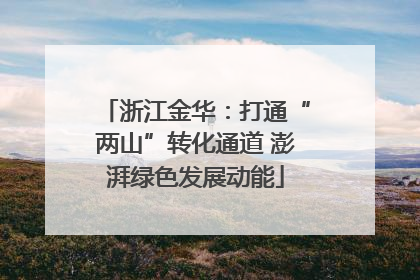 浙江金华：打通“两山”转化通道 澎湃绿色发展动能