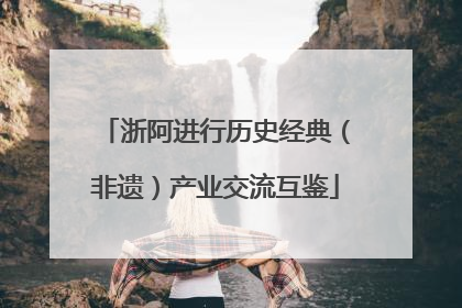 浙阿进行历史经典（非遗）产业交流互鉴