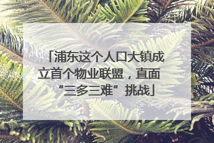浦东这个人口大镇成立首个物业联盟，直面“三多三难”挑战