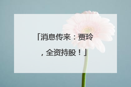 消息传来：贾玲，全资持股！