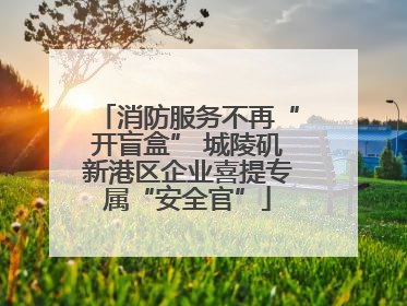 消防服务不再“开盲盒” 城陵矶新港区企业喜提专属“安全官”