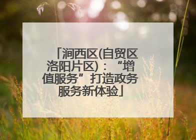 涧西区(自贸区洛阳片区)：“增值服务”打造政务服务新体验