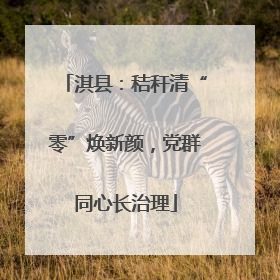 淇县：秸秆清“零”焕新颜，党群同心长治理
