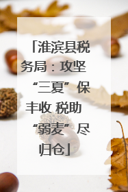 淮滨县税务局：攻坚“三夏”保丰收 税助“弱麦”尽归仓