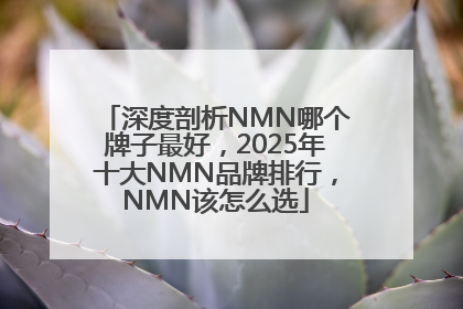 深度剖析NMN哪个牌子最好，2025年十大NMN品牌排行，NMN该怎么选