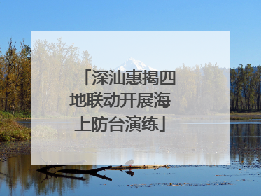 深汕惠揭四地联动开展海上防台演练