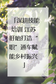 深耕技能培训 江苏盱眙打造“职”通车赋能乡村振兴