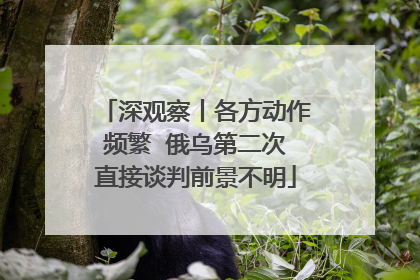 深观察丨各方动作频繁  俄乌第二次直接谈判前景不明
