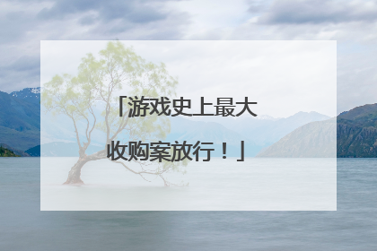 游戏史上最大收购案放行！