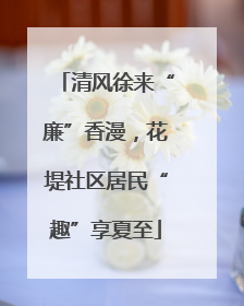 清风徐来“廉”香漫，花堤社区居民“趣”享夏至